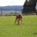 060526 2100