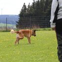 060526 2102