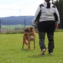 060526 2103
