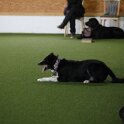 070526 3075