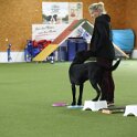 080526 33421