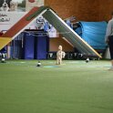 080526 33873