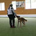 080526 34316