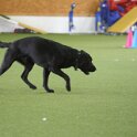 080526 34457