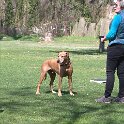 IMG 0476