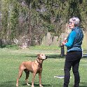 IMG 0477