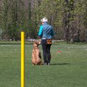 IMG 0490