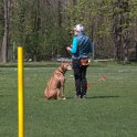 IMG 0491
