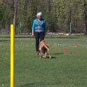 IMG 0493