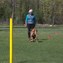 IMG 0495