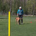 IMG 0498