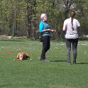 IMG 0505