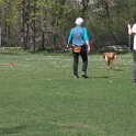 IMG 0508