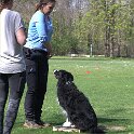 IMG 0530