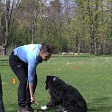 IMG 0531