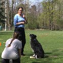 IMG 0534