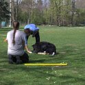 IMG 0537