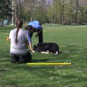 IMG 0538