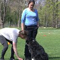 IMG 0546
