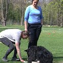 IMG 0547