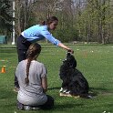 IMG 0552