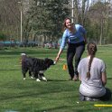 IMG 0556