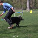 IMG 0561