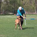IMG 0564