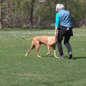 IMG 0565