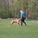 IMG 0568