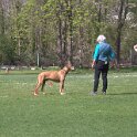 IMG 0569