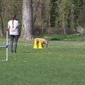 IMG 0572