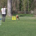 IMG 0573