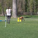IMG 0574