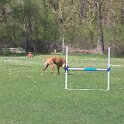 IMG 0578