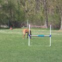 IMG 0579