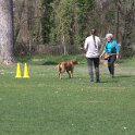 IMG 0582