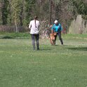 IMG 0584