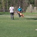 IMG 0585