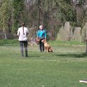 IMG 0586