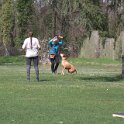 IMG 0587