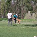 IMG 0588