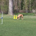 IMG 0590
