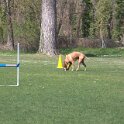 IMG 0591
