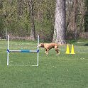 IMG 0593