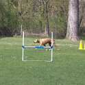 IMG 0594