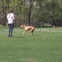 IMG 0596