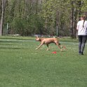 IMG 0598