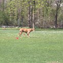 IMG 0611