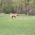 IMG 0619